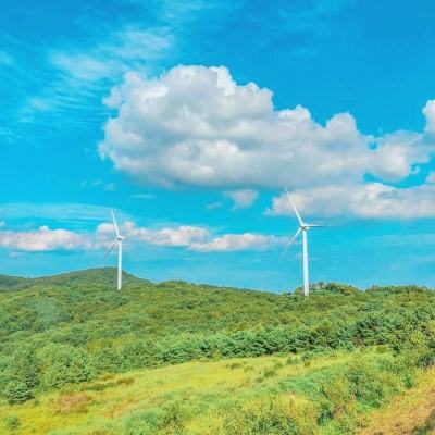 超进化物语游戏鹰版下载